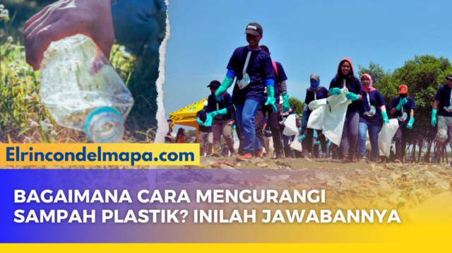 Cara Mengurangi Sampah Plastik - elrincondelmapa.com
